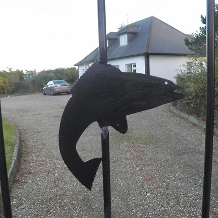 Padua Guest Accommodation Rosslare Rosslare Harbour Luaran gambar