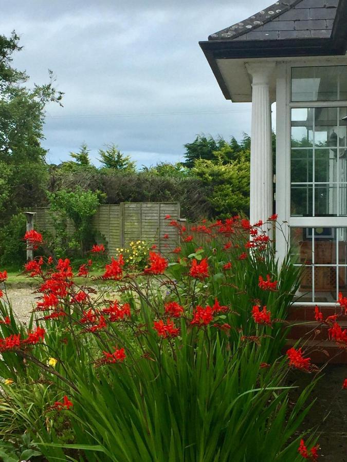 Padua Guest Accommodation Rosslare Rosslare Harbour Luaran gambar